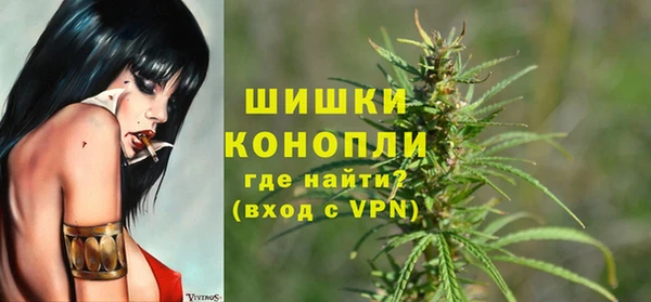 мдпв Бронницы