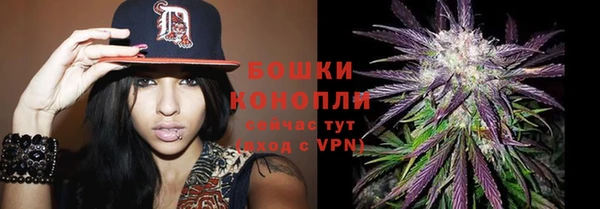 мдпв Бронницы