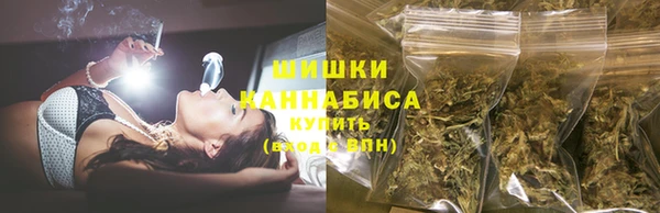 мдпв Бронницы