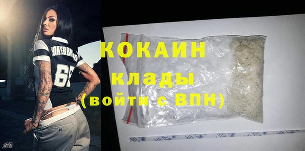 spice Бородино