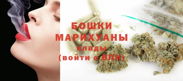 мдпв Бронницы