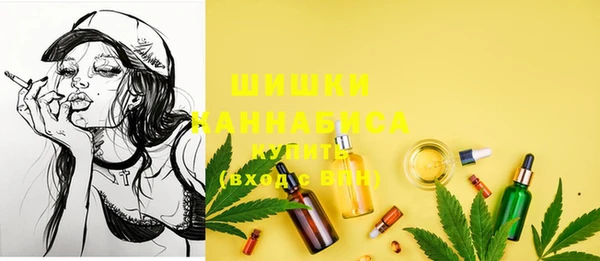 spice Бородино