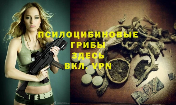 MDMA Богородицк