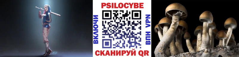 наркошоп  Гурьевск  Галлюциногенные грибы мухоморы 
